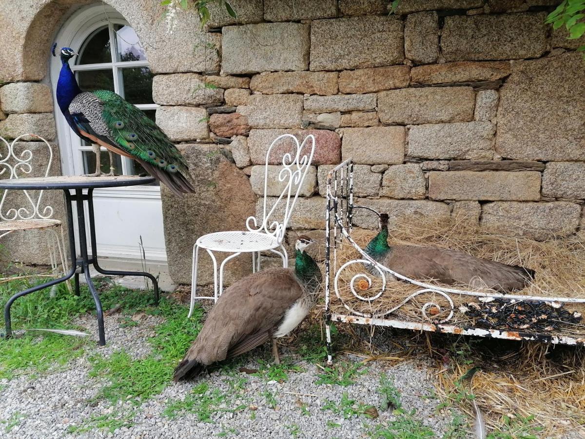 Bed and Breakfast Frairie Du Divit Pontivy Esterno foto